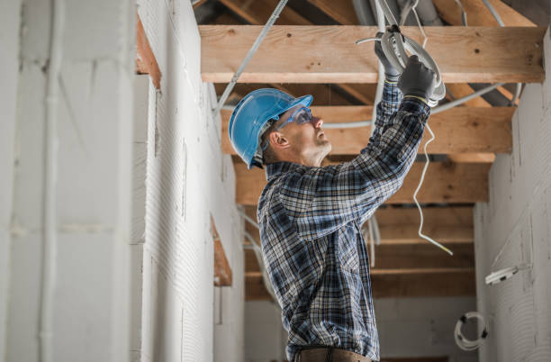 Best Electrician for Home Renovation  in Wlow Springs, IL